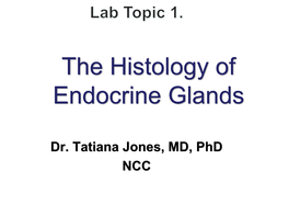 The Histology of Endocrine Glands