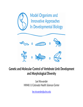 Genetic and Molecular Control of Vertebrate Limb Development and Morphological Diversity