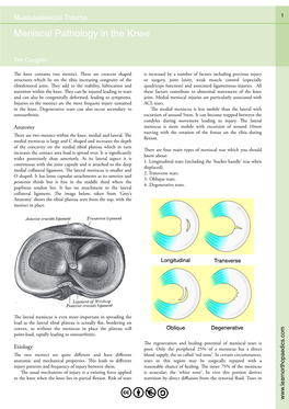 Meniscal Pathology in the Knee