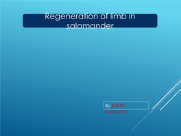 Regeneration of Limb in Salamander