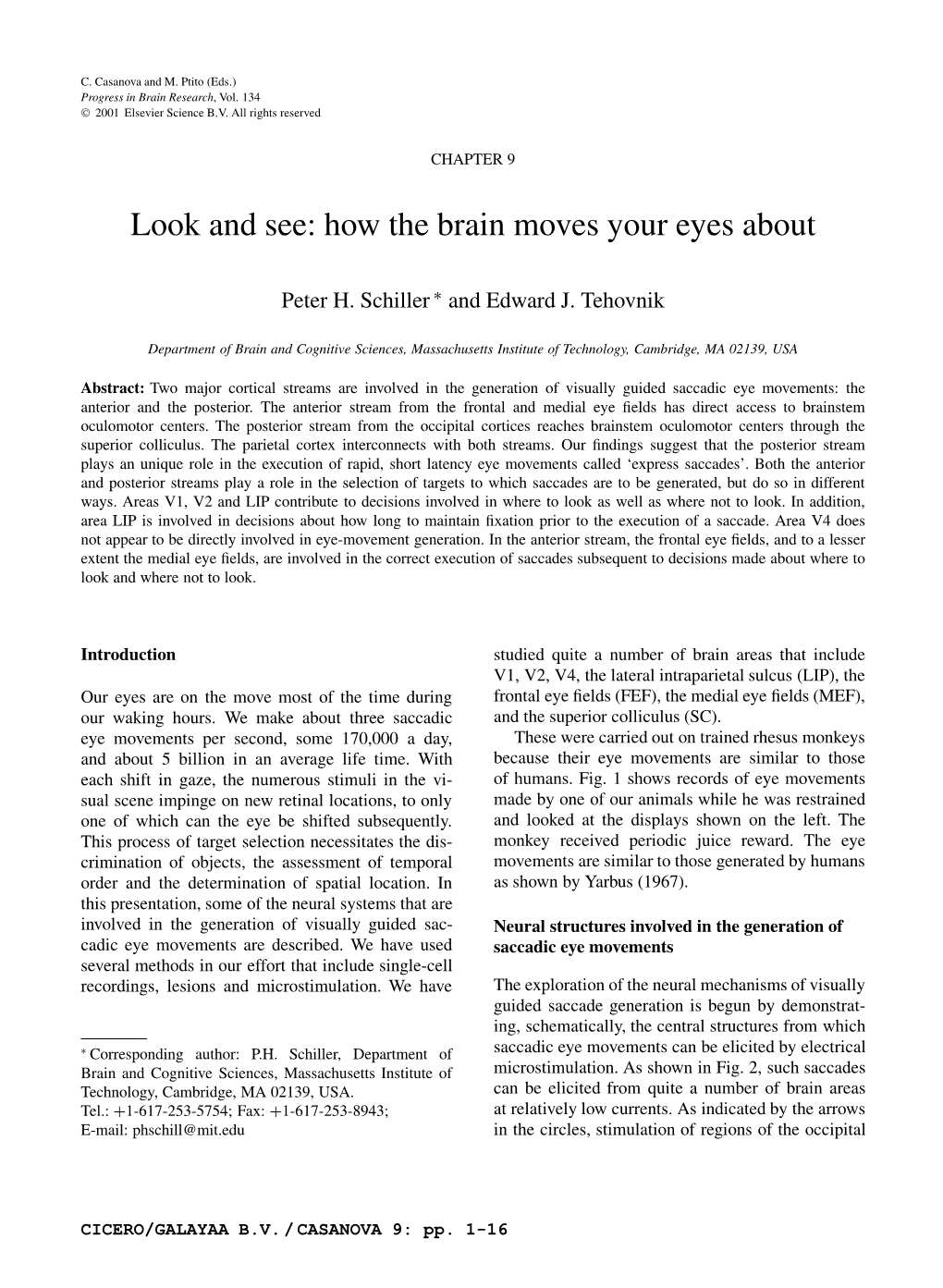 How the Brain Moves Your Eyes About