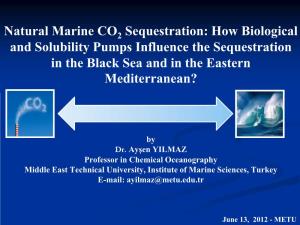 How Biological and Solubility Pumps Influence the Sequestration in the Black Sea and in the Eastern Mediterranean?