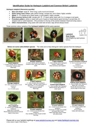 Ladybird Identification Sheet