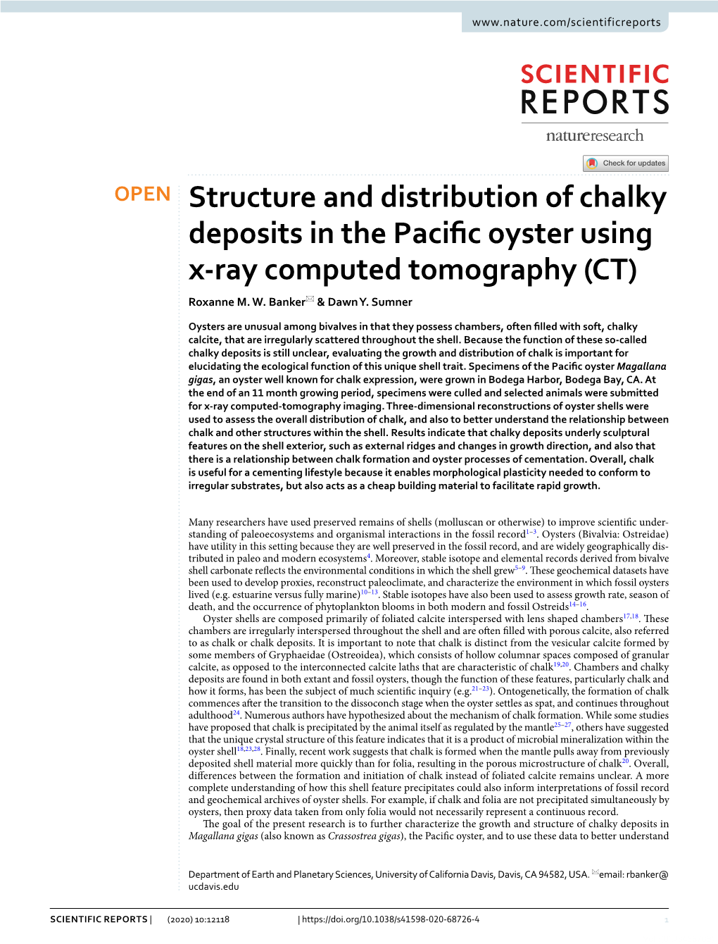 Structure and Distribution of Chalky Deposits in the Pacific Oyster Using