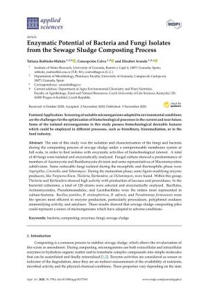 Enzymatic Potential of Bacteria and Fungi Isolates from the Sewage Sludge Composting Process