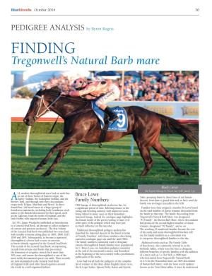 PEDIGREE ANALYSIS by Byron Rogers FINDING Tregonwell’S Natural Barb Mare S.H