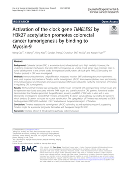Activation of the Clock Gene TIMELESS by H3k27 Acetylation