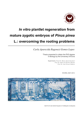 In Vitro Plantlet Regeneration from Mature Zygotic Embryos of Pinus Pinea