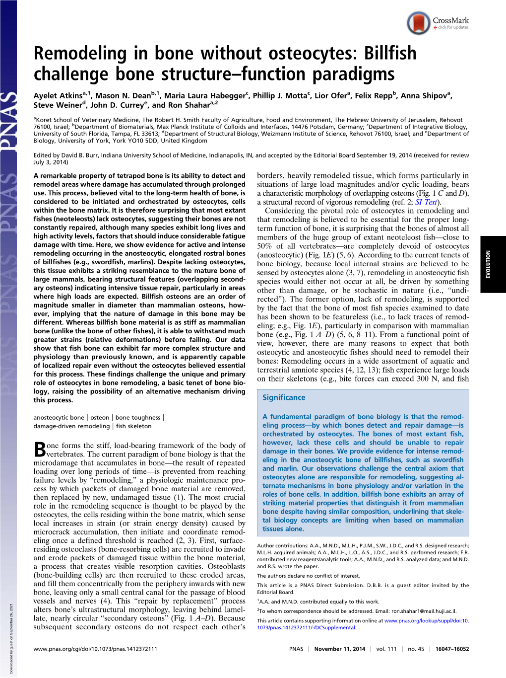 Billfish Challenge Bone Structure–Function Paradigms