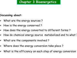 Chapter 3 Bioenergetics