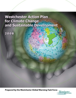 Westchester Action Plan, 2008