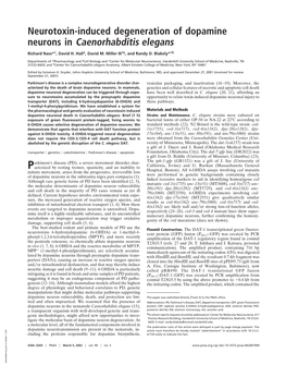 Neurotoxin-Induced Degeneration of Dopamine Neurons in Caenorhabditis Elegans