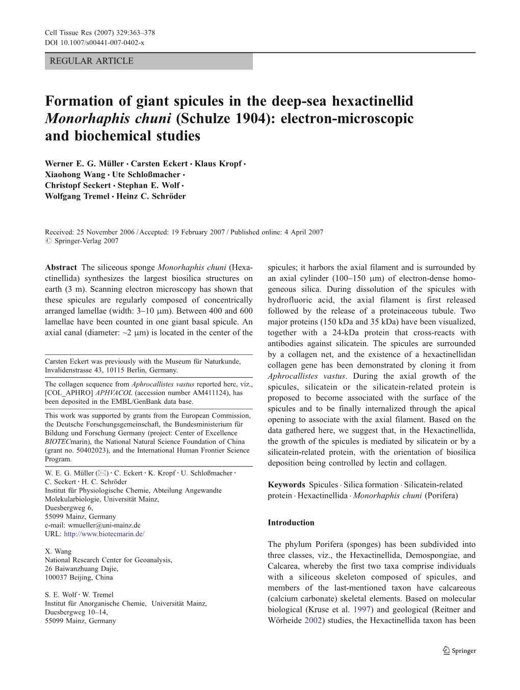 Formation of Giant Spicules in the Deep-Sea Hexactinellid Monorhaphis Chuni (Schulze 1904): Electron-Microscopic and Biochemical Studies