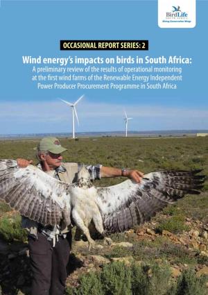 Wind Energy's Impacts on Birds in South Africa