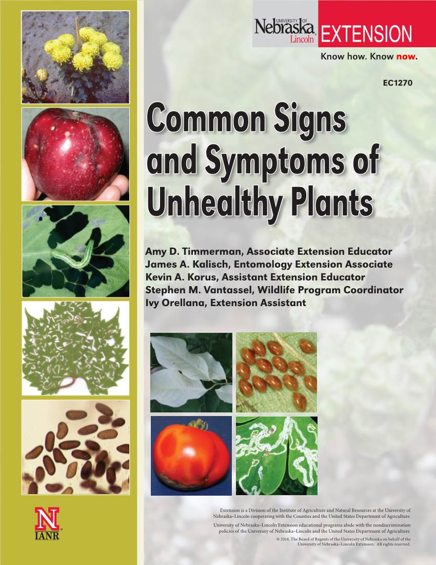 Common Signs and Symptoms of Unhealthy Plants