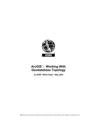 Arcgis: Working with Geodatabase Topology