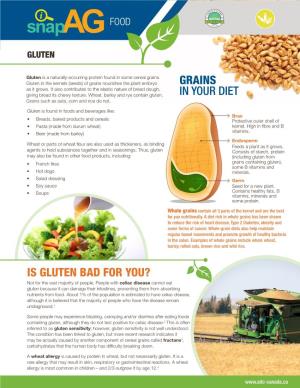 Grains in Your Diet Is Gluten Bad for You?