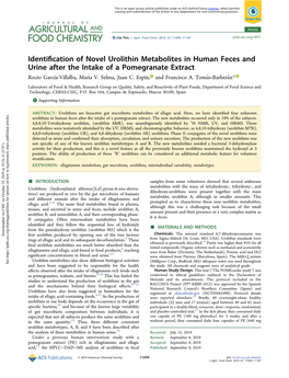 Identification of Novel Urolithin Metabolites in Human Feces And