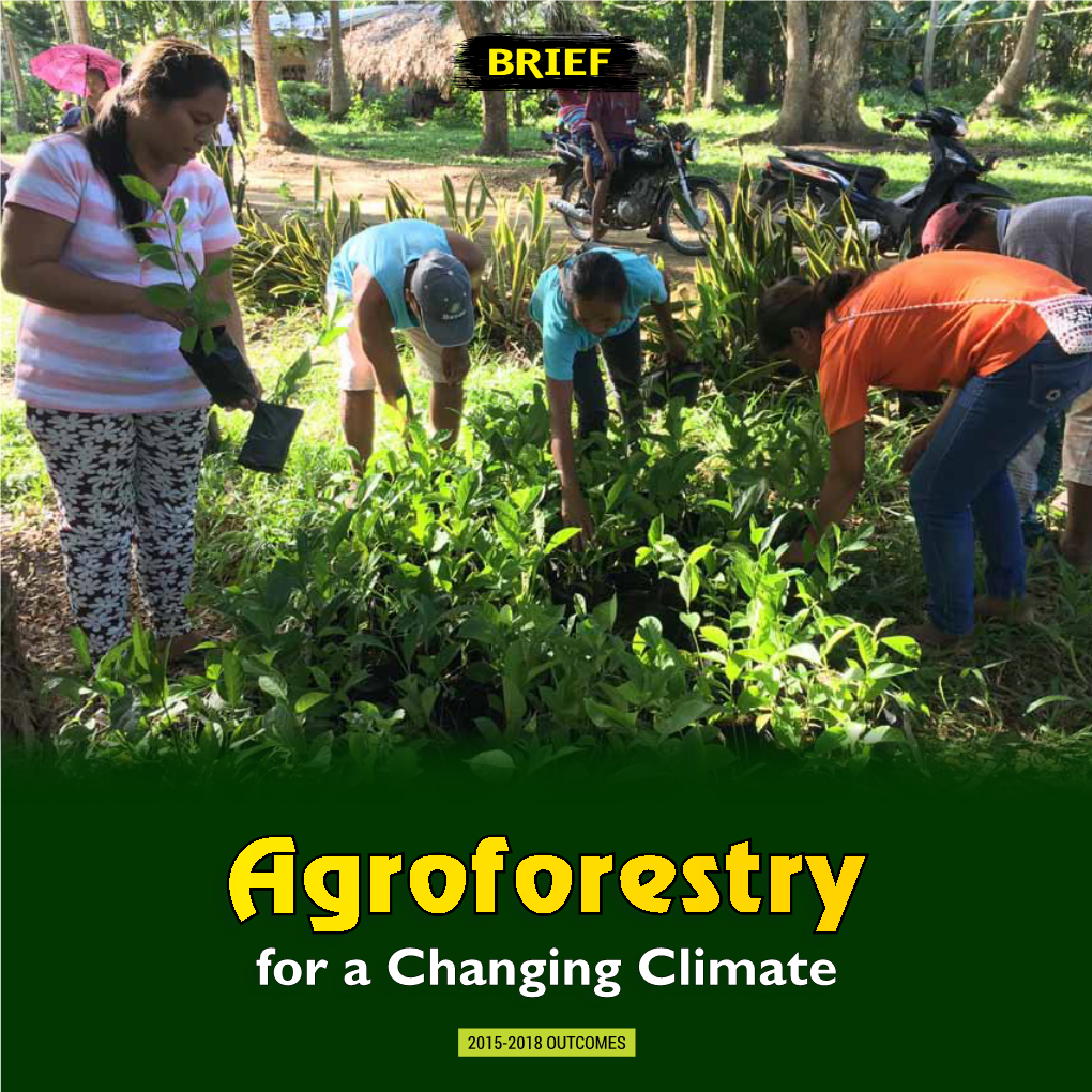 Agroforestry Brief.Pdf