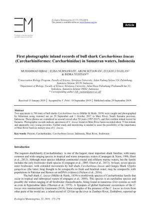 First Photographic Inland Records of Bull Shark Carcharhinus Leucas (Carcharhiniformes: Carcharhinidae) in Sumatran Waters, Indonesia