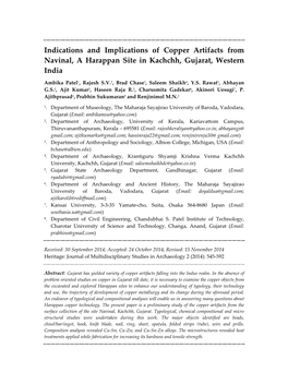 Indications and Implications of Copper Artifacts from Navinal, a Harappan