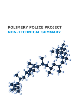 Polimery Police Project Non-Technical Summary