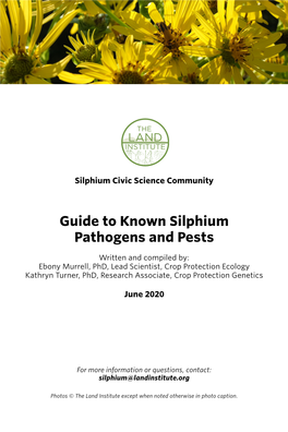 Guide to Known Silphium Pathogens and Pests