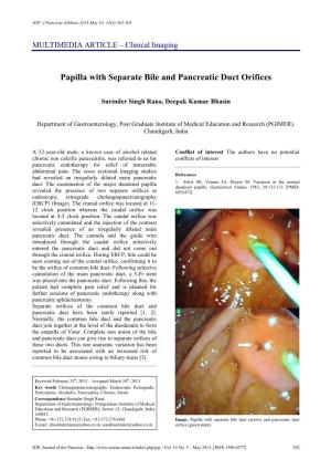 Papilla with Separate Bile and Pancreatic Duct Orifices