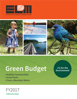 Green Budget FY2017
