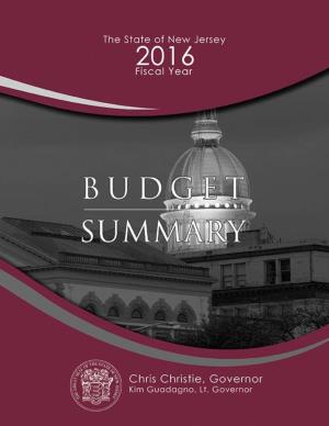 Governor Christie's Budget