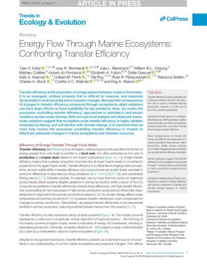 Energy Flow Through Marine Ecosystems: Confronting Transfer Efﬁciency