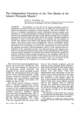 The Independent Functions of the Two Heads of the Lateral Pterygoid Muscle