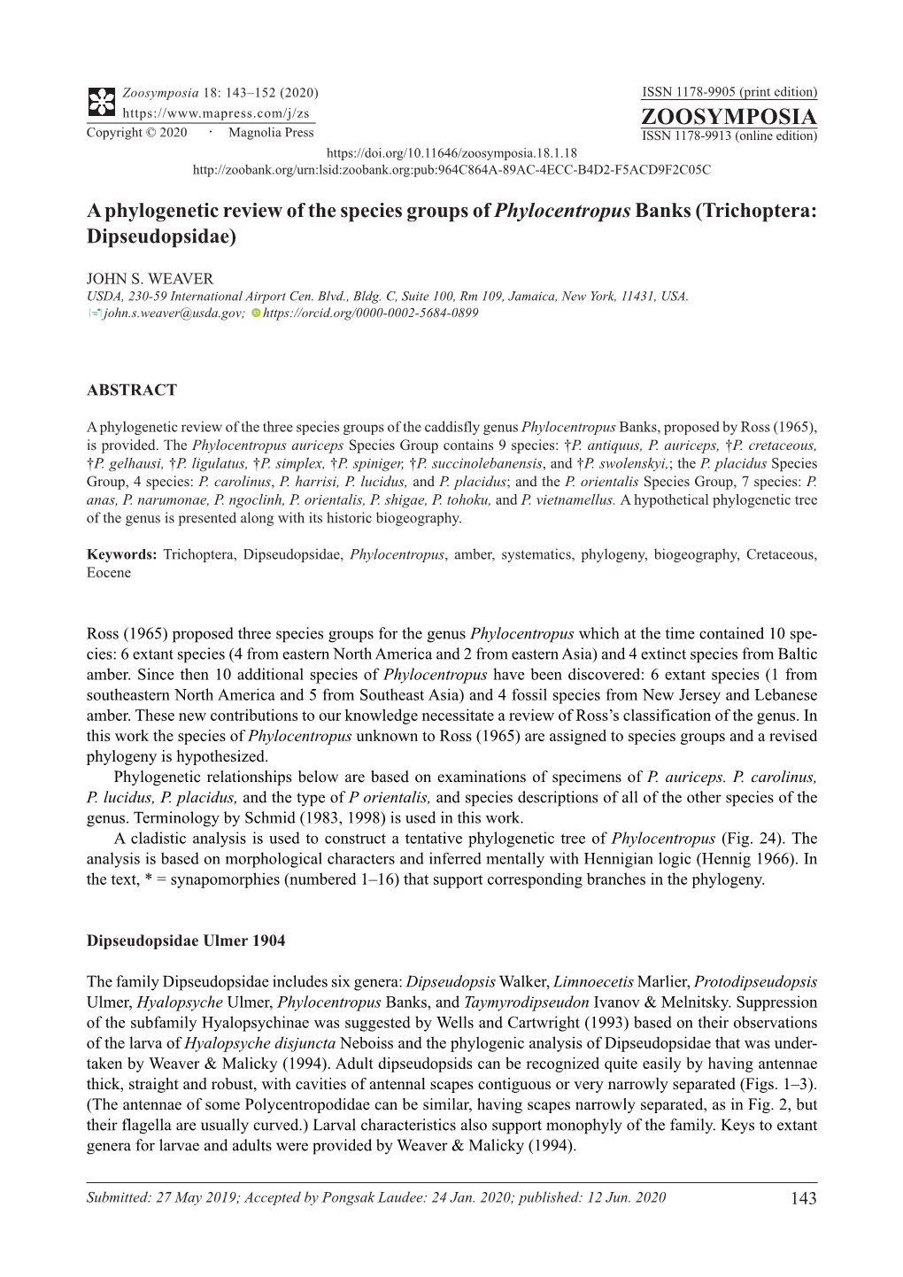 A Phylogenetic Review of the Species Groups of Phylocentropus Banks (Trichoptera: Dipseudopsidae)