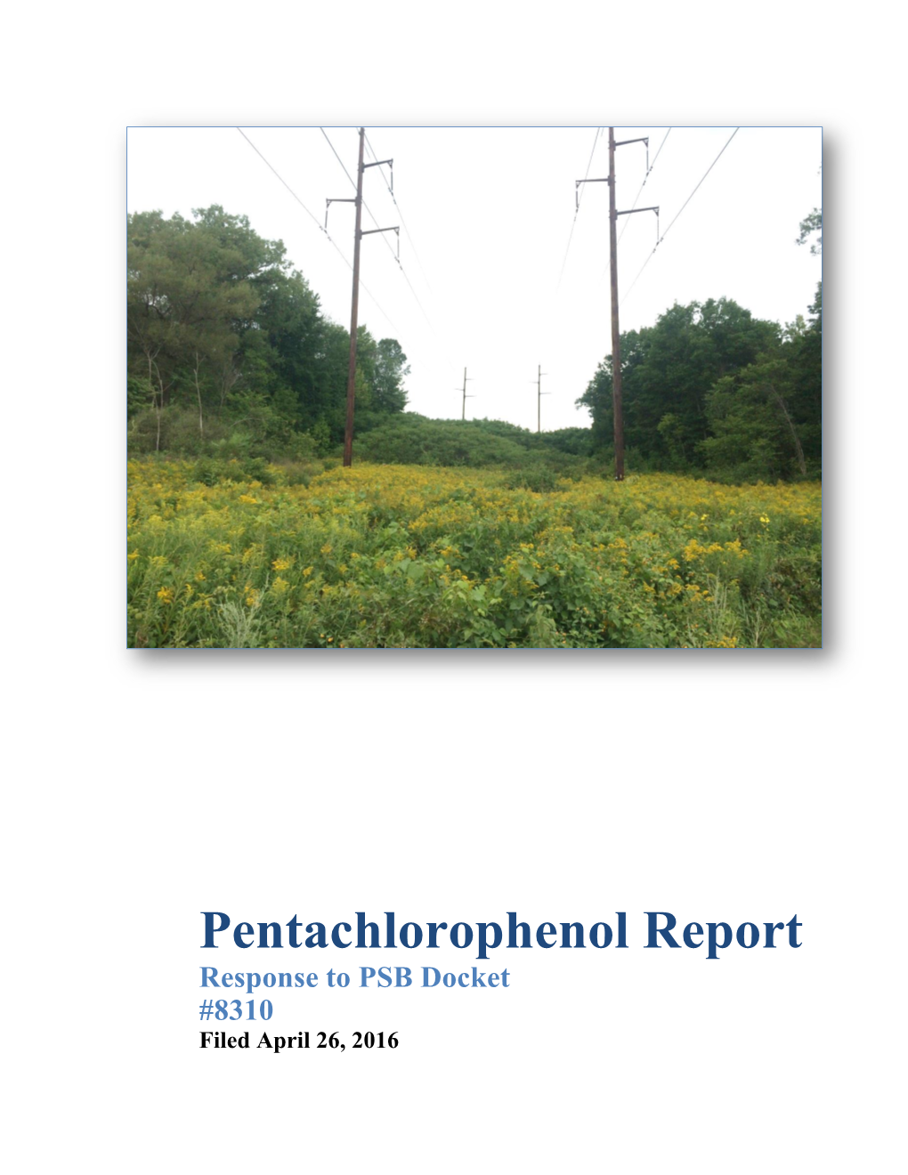 Pentachlorophenol Report Response to PSB Docket #8310 Filed April 26, 2016 Pentachlorophenol Workgroup Participants