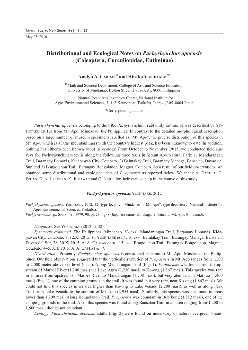 Distributional and Ecological Notes on Pachyrhynchus Apoensis (Coleoptera, Curculionidae, Entiminae)