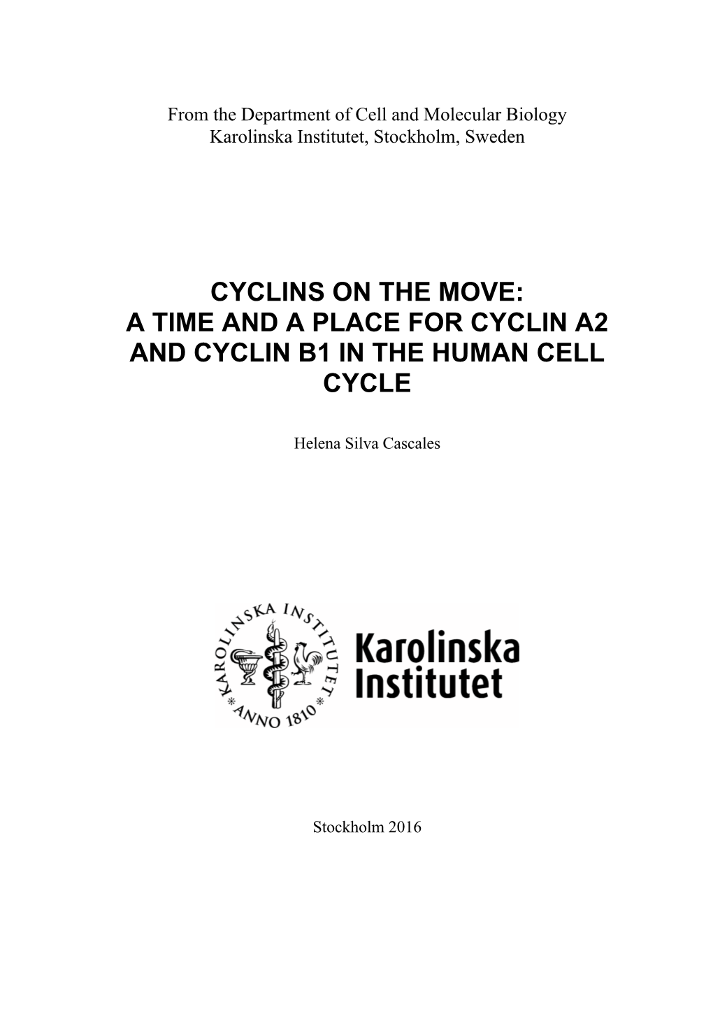 A Time and a Place for Cyclin A2 and Cyclin B1 in the Human Cell Cycle