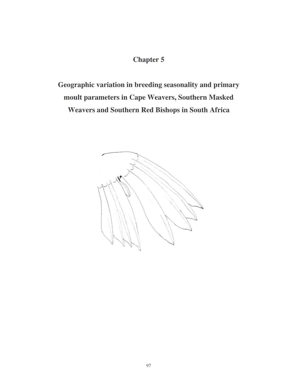 Geographic Variation in Breeding Seasonality and Primary Moult Parameters in Cape Weavers, Southern Masked Weavers and Southern Red Bishops in South Africa