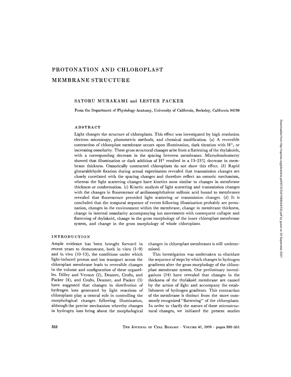 Protonation and Chloroplast Membrane Structure