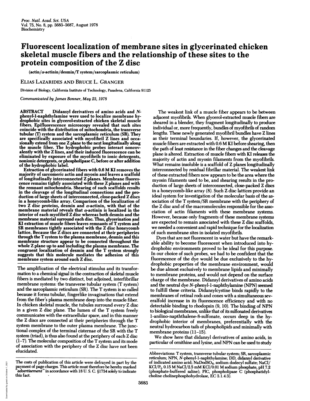 Fluorescent Localization of Membrane Sites in Glycerinated Chicken