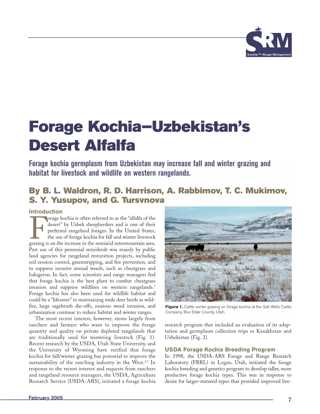 Forage Kochia—Uzbekistan's Desert Alfalfa