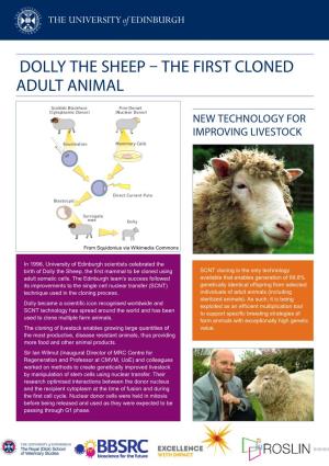 Dolly the Sheep – the First Cloned Adult Animal