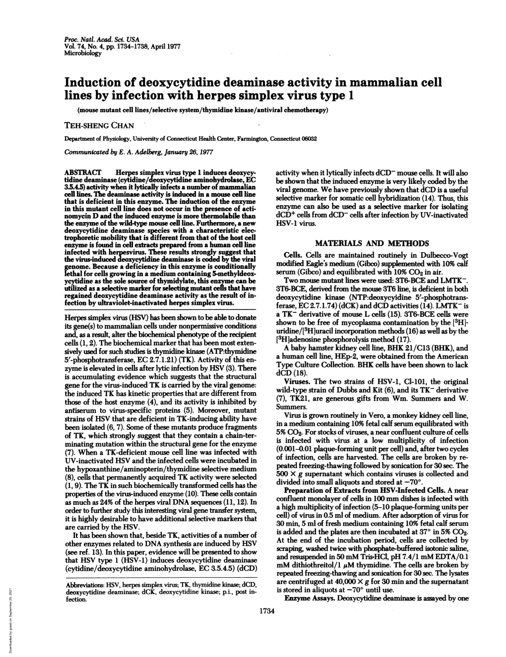 Induction of Deoxycytidine Deaminase Activity in Mammalian Cell Lines By