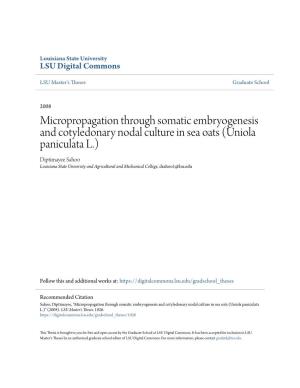 Micropropagation Through Somatic Embryogenesis and Cotyledonary Nodal Culture in Sea Oats