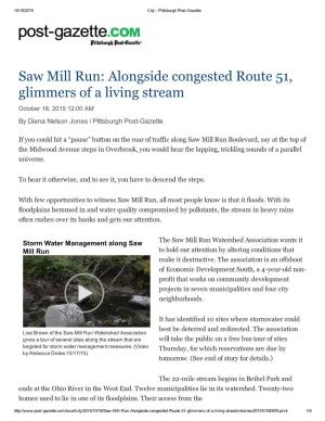 Saw Mill Run: Alongside Congested Route 51, Glimmers of a Living Stream October 18, 2015 12:00 AM by Diana Nelson Jones / Pittsburgh Post­Gazette