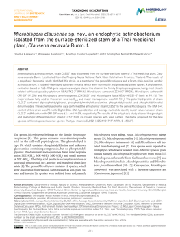 Microbispora Clausenae Sp