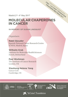 Molecular Chaperones in Cancer