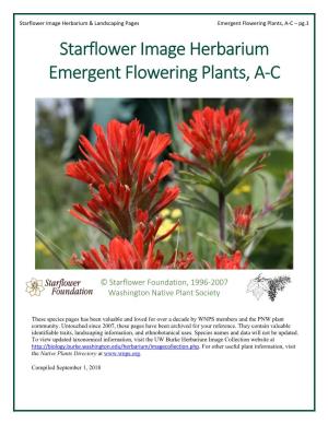 Emergent Flowering Plants, A-C – Pg.1