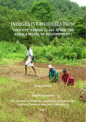 Indigenist Mobilization