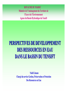 Perspectives De Developpement Des