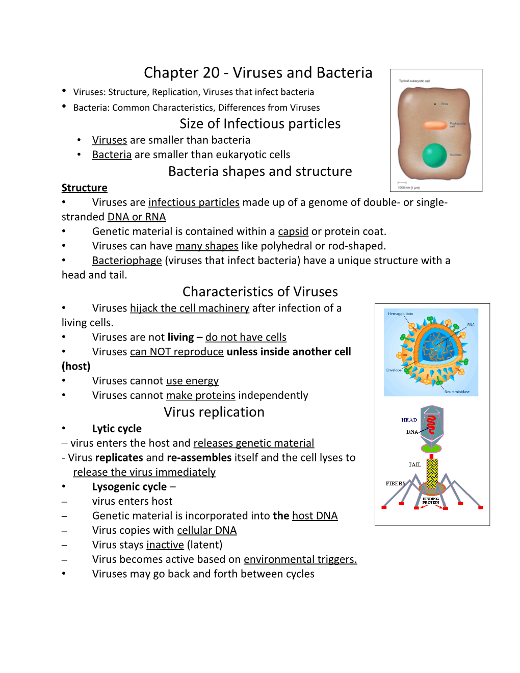 Chapter 20 - Viruses and Bacteria